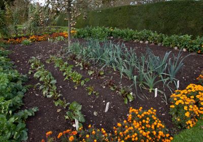 National Trust - Standen House and Garden