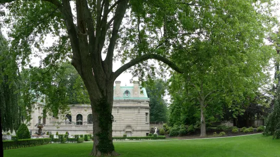 Elms Mansion