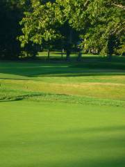Montgomerie Golf Course, Celtic Manor Resort