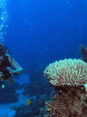 Sea Dancer Dive Center