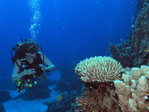 Sea Dancer Dive Center