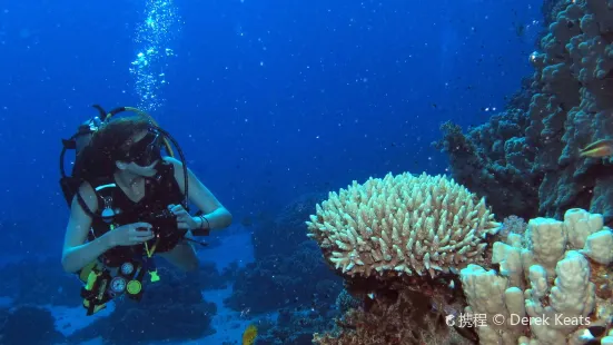 Sea Dancer Dive Center