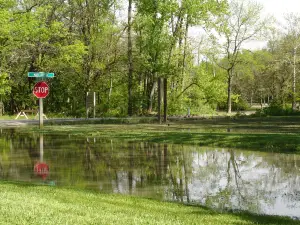 Hueston Woods State Park