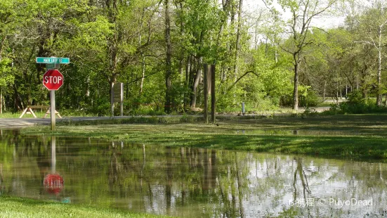 Hueston Woods State Park