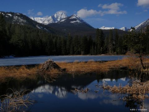 Beaver Lake