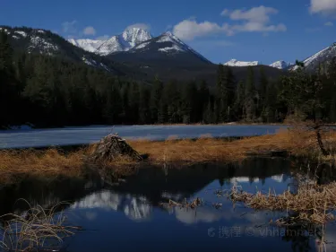 Beaver Lake