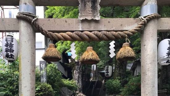 社内别有景致，参天的古树林立，神社正殿同样是古木建筑，相当古