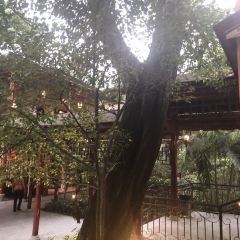 SHUNFENGSHANZHUANG User Photo