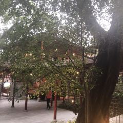 SHUNFENGSHANZHUANG User Photo