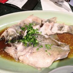 XIN BAI LU User Photo
