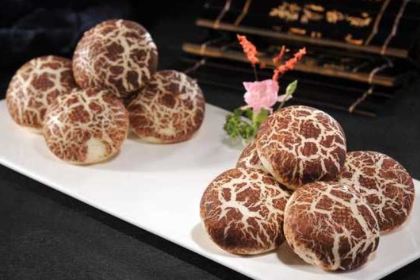 先机泉水鸡汤(南山老君洞店)