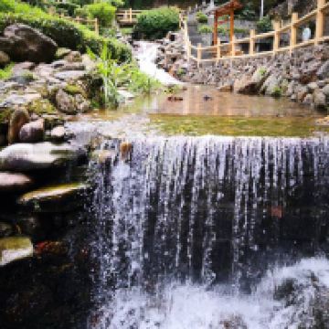 評論圖片 6