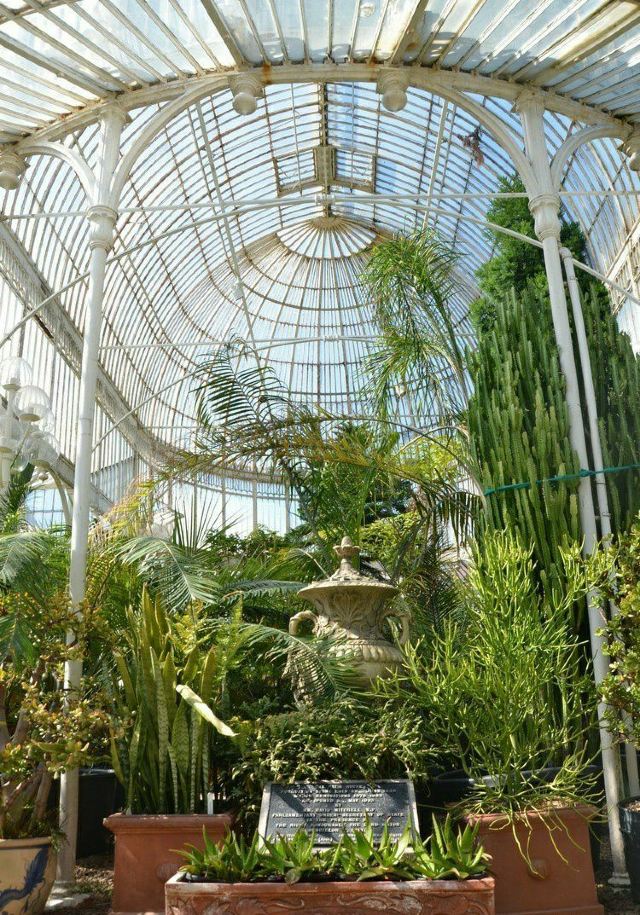 Botanic Gardens Attractions Belfast Travel Review Travel Guide Trip Com Botanic Gardens Attractions Belfast Travel Review Travel Guide Trip Com