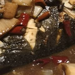 Baiyangdianyufudunza Fish User Photo