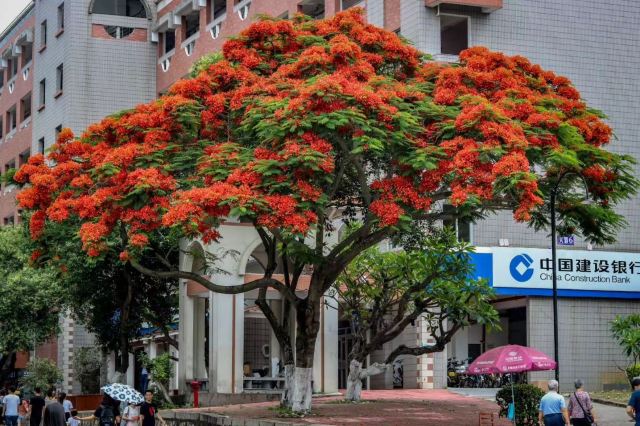 Xiamen University