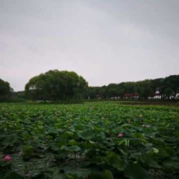 評論圖片 6