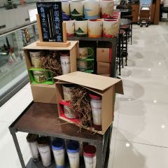 Starbucks (changlejichang) User Photo