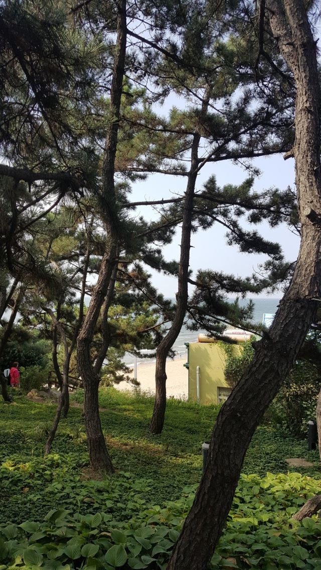 라오후석 해상공원