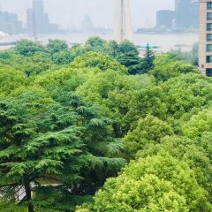 La Societe ảnh của người dùng