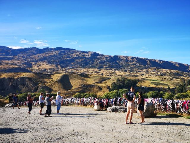 Cardrona Bra Fence