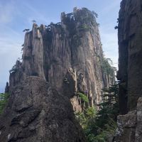 評論圖片 4