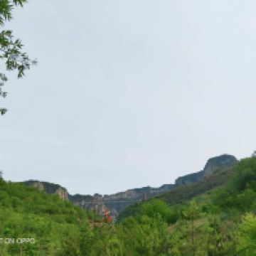 評論圖片 5