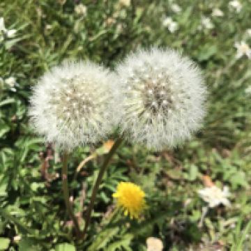 評論圖片 1