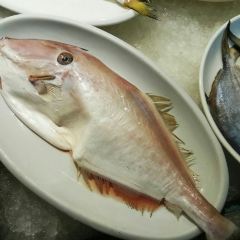 杨记海鲜楼 여행 사진