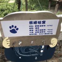 評論圖片 6