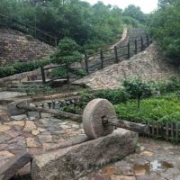 評論圖片 5