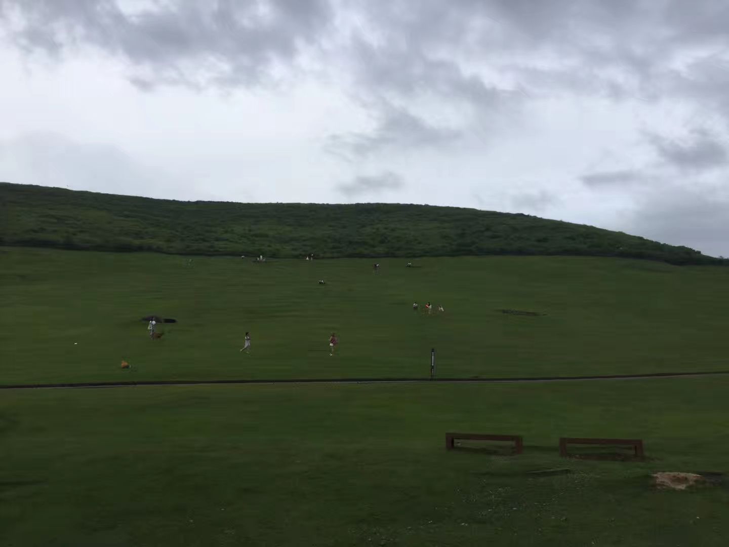 京都 先斗町公園 評判 案内 トリップドットコム