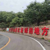 評論圖片 5