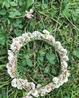 水元公園景點 東京旅遊評論 旅行指南 Trip Com