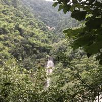 評論圖片 4