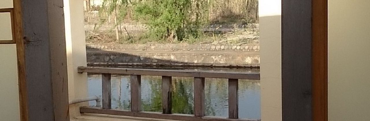 CiBi Lake Fish Restaurant