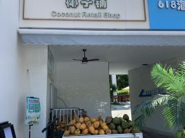 椰子铺·海南椰子鲜果专营店