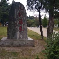 評論圖片 2