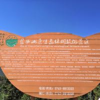 評論圖片 1