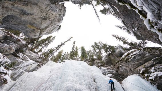 1-day tour to Banff National Park from Calgary, Canada