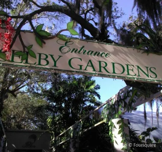 Visit Marie Selby Botanical Gardens: Meeting The Nature