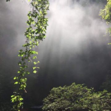 評論圖片 3