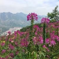 評論圖片 1