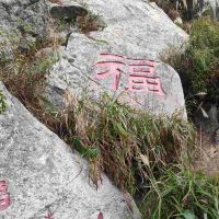 評論圖片 5