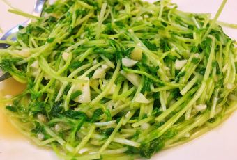 Choobi Choobi User Photo