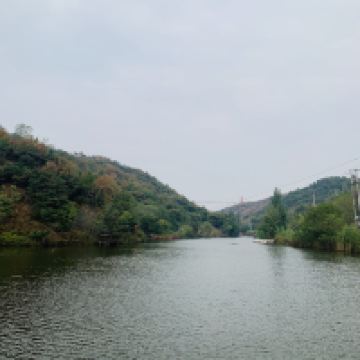 評論圖片 8