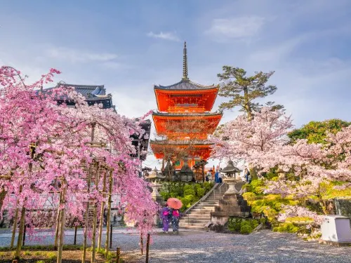 A Must-Have Guide to Gion District in Kyoto