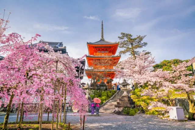 Top 15 Things to Do in Kyoto