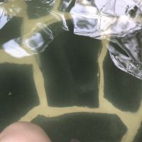 評論圖片 1