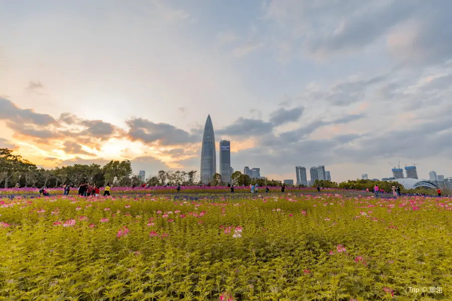 深圳湾公園流花山