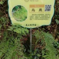 評論圖片 4